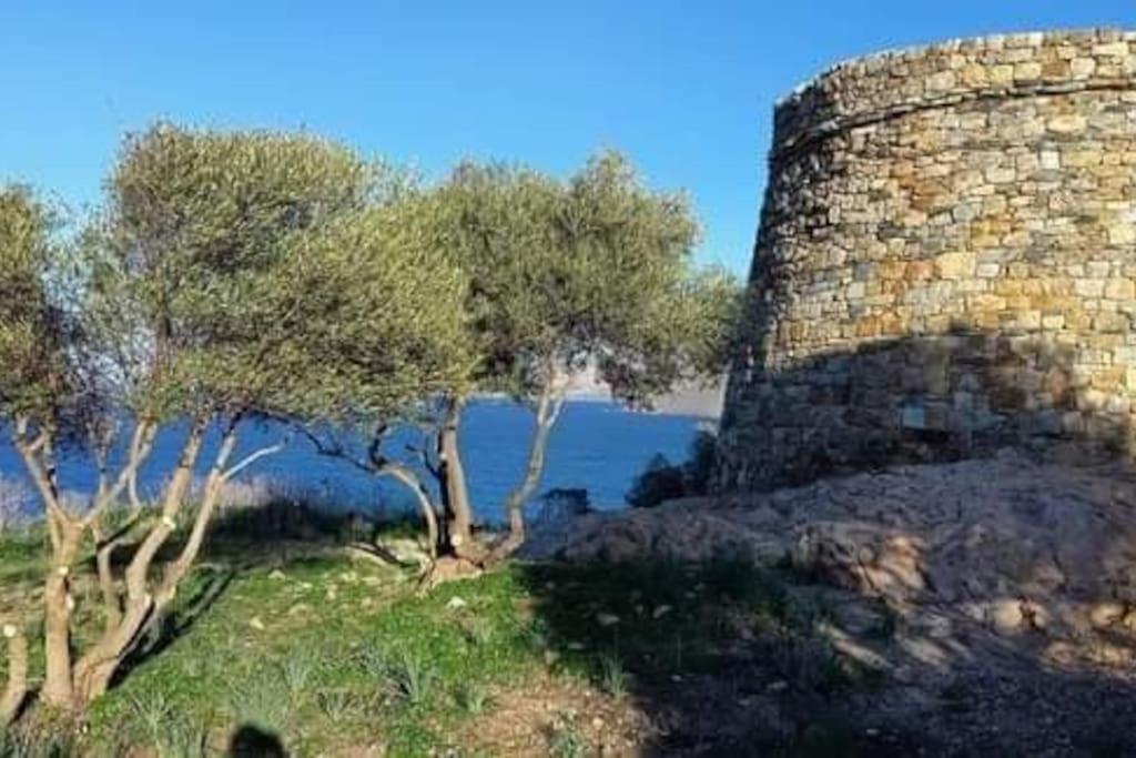 Charmant Petit Logement A 3 Kms De La Plage Belgodère Exteriér fotografie