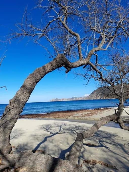 Charmant Petit Logement A 3 Kms De La Plage Belgodère Exteriér fotografie