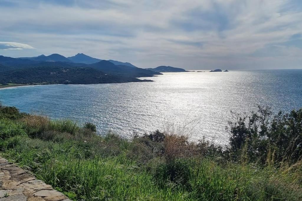 Charmant Petit Logement A 3 Kms De La Plage Belgodère Exteriér fotografie