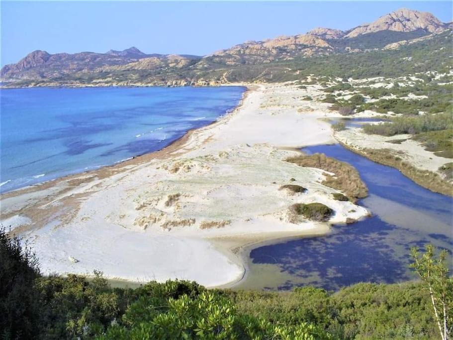 Charmant Petit Logement A 3 Kms De La Plage Belgodère Exteriér fotografie