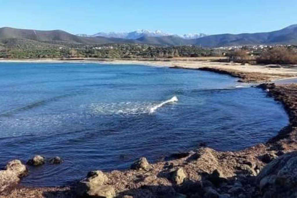 Charmant Petit Logement A 3 Kms De La Plage Belgodère Exteriér fotografie